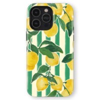 Hopcover iPhone telefono deklas Samsung dekliukas